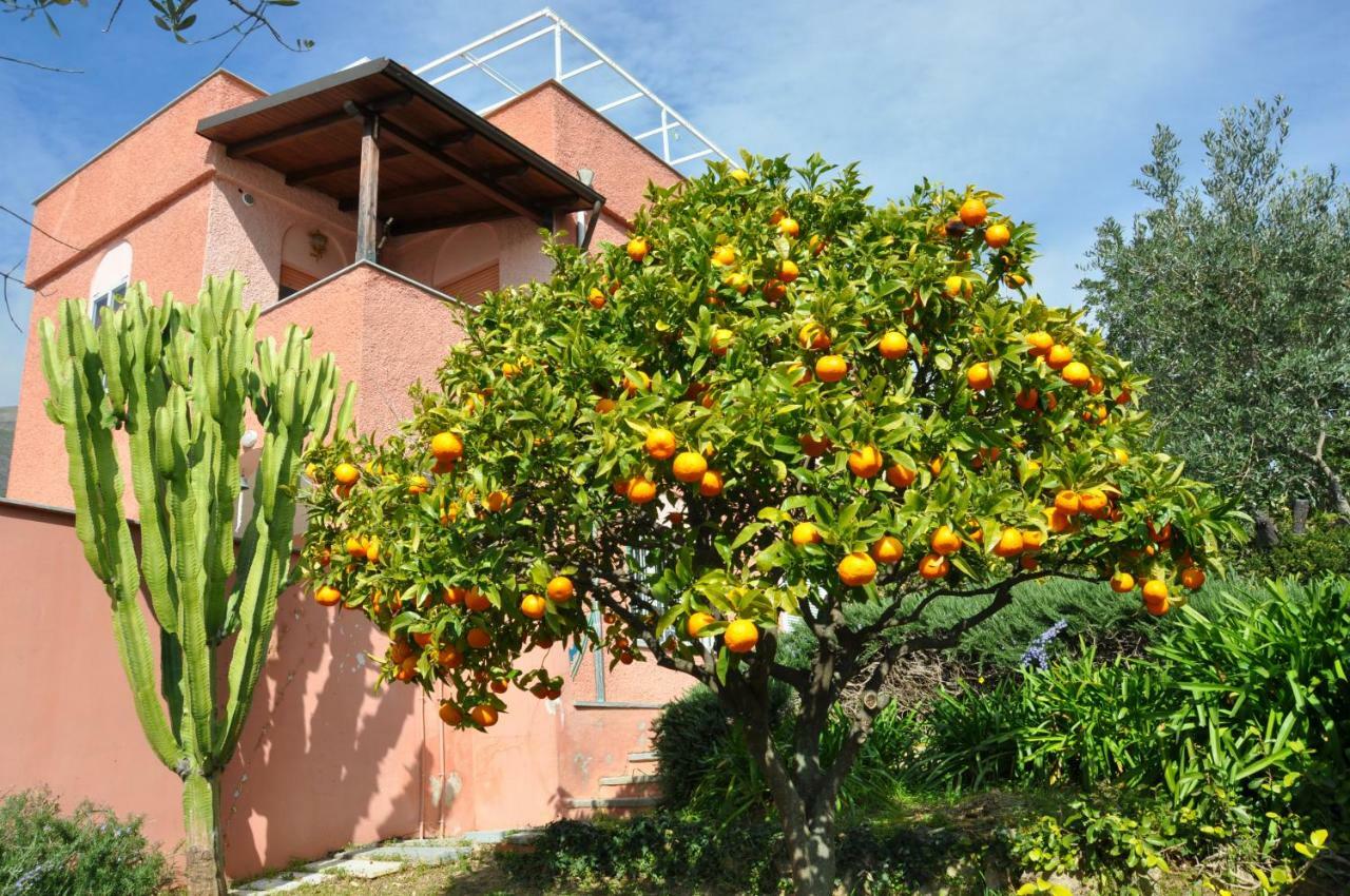 Villa Paolina Ceriale - App. 4 Posti Exteriér fotografie